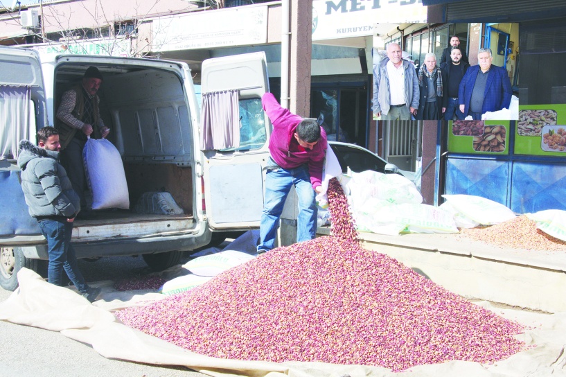 Böyle giderse çiftçi, birkaç yıla  fıstığın köküne baltayı vurur