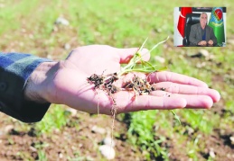 Bundan sonra yağış olsa bile  hububatta rekolte yüzde 50 düştü