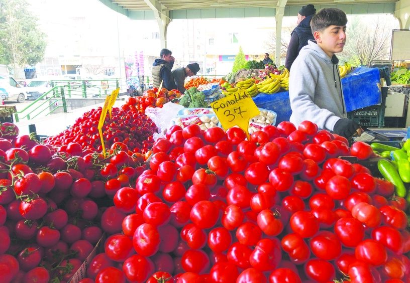 Yıllık enflasyon ENAG'a göre  79,51, TÜİK'e göre 39,05 oldu