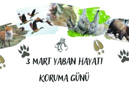 Yaban hayatı koruma finansmanına yönelik kaynaklar artırılmalı