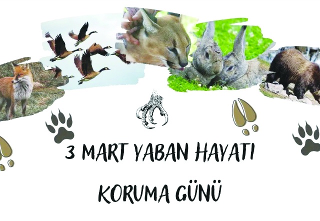 Yaban hayatı koruma finansmanına yönelik kaynaklar artırılmalı