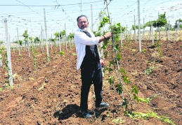 Para kazanamayan çiftçiler arazilerini satışa çıkardı