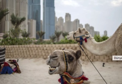 Türkler yurt dışı gayrimenkul alımında rekor kırdı: Dubai ve Yunanistan zirvede