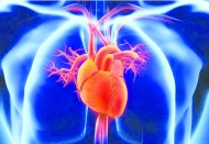 Türkiye'de kardiyovasküler ölümler Avrupa ortalamasının üzerinde