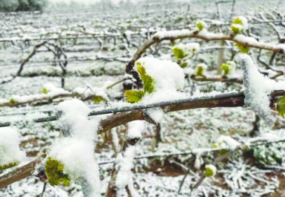 Birçok üründe fiyatlar  artacak, ihracat düşecek