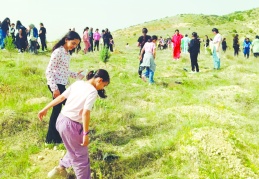 Öğrenciler kızılçam, mavi servi, zeytin, badem ve fıstık fidanları dikti