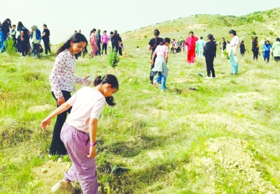 Öğrenciler kızılçam, mavi servi, zeytin, badem ve fıstık fidanları dikti
