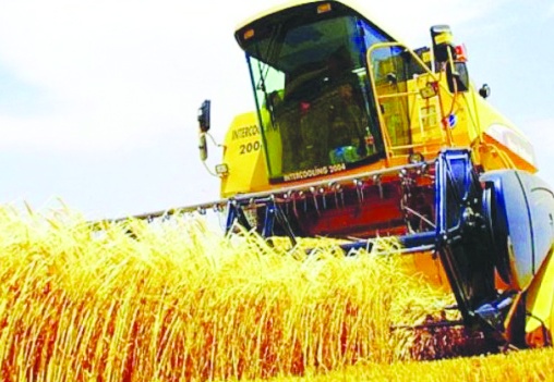 Tarımda üretici fiyatları yüzde 31,54 arttı