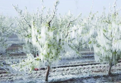 7.3 milyon hektar tarım alanının ÇKS kaydı yok