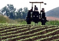 Tarım girdi fiyatlarında yüksek artış devam ediyor!