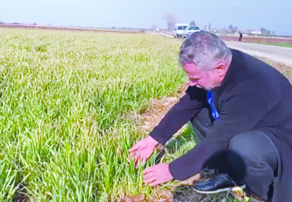 Yağışlar yüzde 59 azaldı