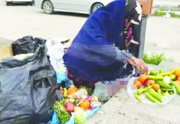 Çöpe atılmış meyve-sebze toplayan  emekliler siyasi iktidarın ayıbıdır