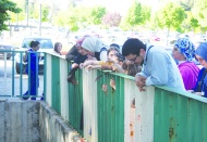 Dilekler suya atıldı