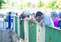 Dilekler suya atıldı