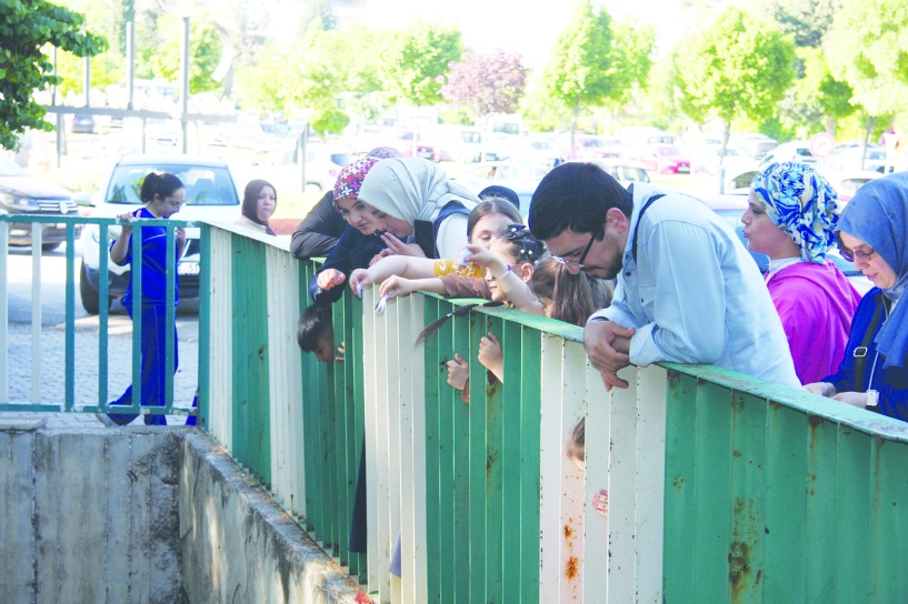 Dilekler suya atıldı