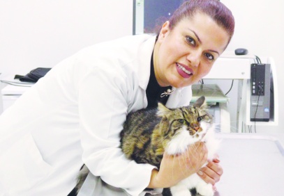 Sorun, sürdürülebilir ve bilim temelli politikaların uygulanması ile çözülebilir