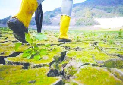 Üretici sayısı da üretim de düşüyor