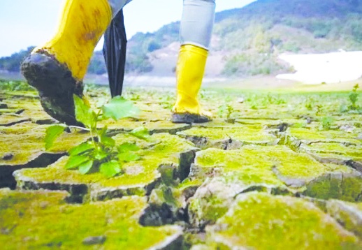 Üretici sayısı da üretim de düşüyor