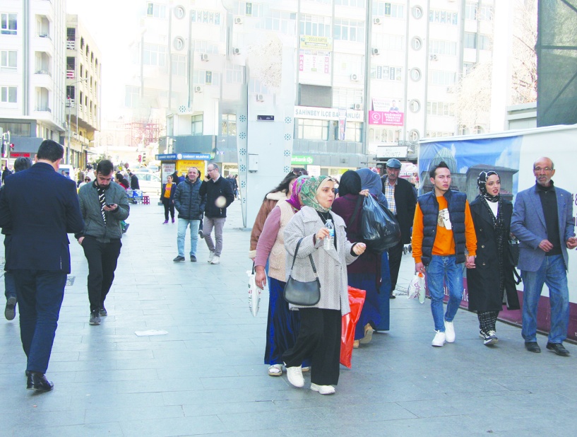 Yalnız yaşayanlar artıyor  hane halkı sayısı azalıyor