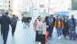 Yalnız yaşayanlar artıyor  hane halkı sayısı azalıyor