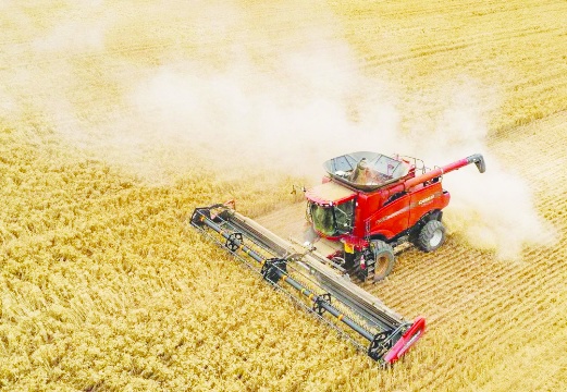 Tarımda üretici fiyatları yıllık bazda arttı