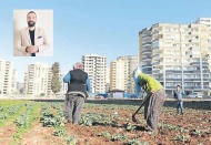 Tarım arazilerinin betonlaşması, gıda güvenliğini doğrudan tehdit ediyor