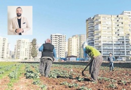 Tarım arazilerinin betonlaşması, gıda  güvenliğini doğrudan tehdit ediyor