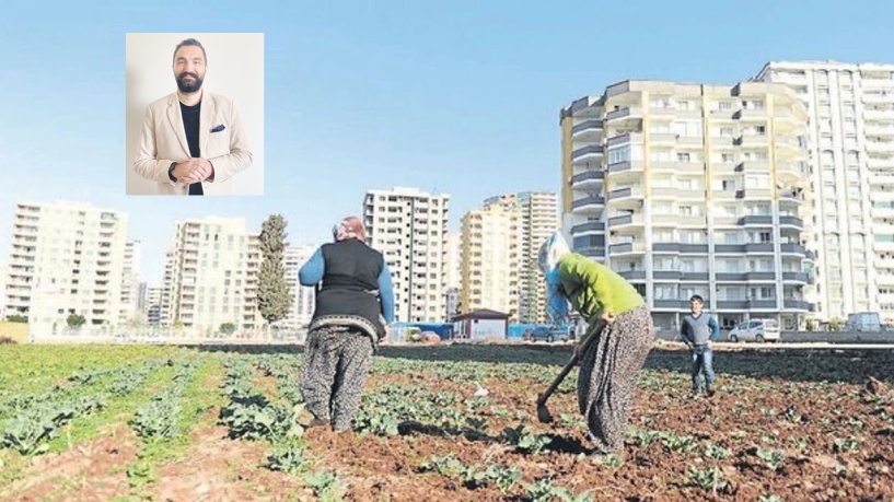 Tarım arazilerinin betonlaşması, gıda  güvenliğini doğrudan tehdit ediyor