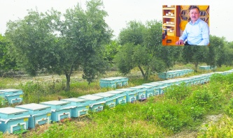 Arıcılık sektörü, kırsal kalkınmaya ve ekonomiye can katıyor