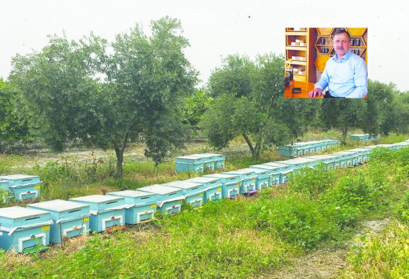Arıcılık sektörü, kırsal kalkınmaya ve ekonomiye can katıyor