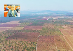 Ekonomiye yıllık 800  milyon TL katlı sağlanacak