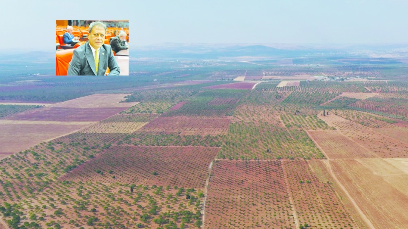 Ekonomiye yıllık 800  milyon TL katlı sağlanacak