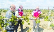Zirai don felaketinin maliyeti 21 milyar