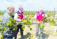 Zirai don felaketinin maliyeti 21 milyar