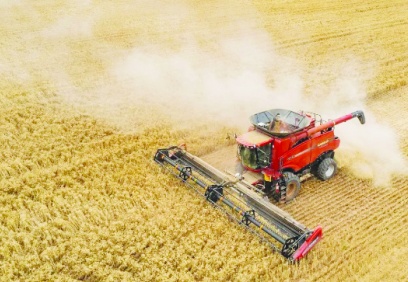 İthalatta başı, yaklaşık 2 milyar dolarla hayvan yemi çekti