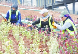 Su tasarrufu kurakçıl peyzajın en önemli ilkelerinden biri