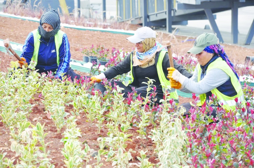 Su tasarrufu kurakçıl peyzajın en önemli ilkelerinden biri