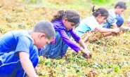 MESEM projesiyle, devlet çocuk işçiliği teşvik ediyor