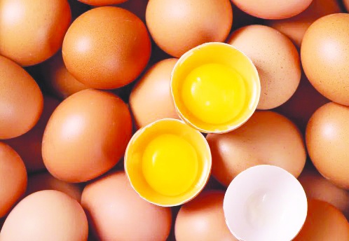 Yumurta üretimi 6 ayda 330 milyon adet azaldı