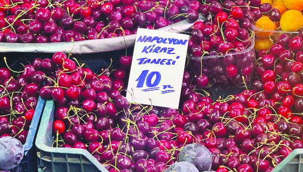 Ekonomi yönetiminin büyük başarısı: Kirazın tanesi 10 lira