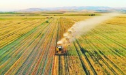 Tarım ÜFE mayısta aylık bazda yüzde 0,23 arttı