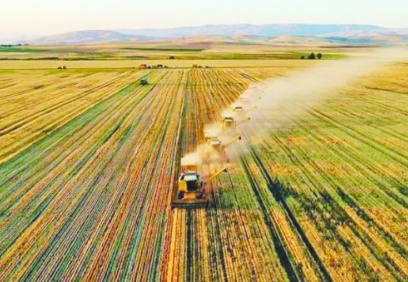 Tarım ÜFE mayısta aylık bazda yüzde 0,23 arttı