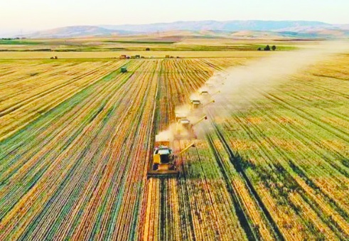 Tarım ÜFE mayısta aylık bazda yüzde 0,23 arttı