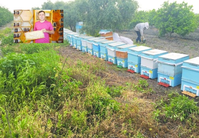 Arı sezonu açısından son 20 yılın en kötüsü