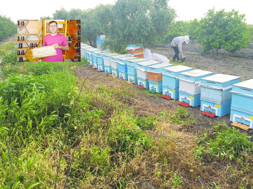 Arı sezonu açısından son 20 yılın en kötüsü