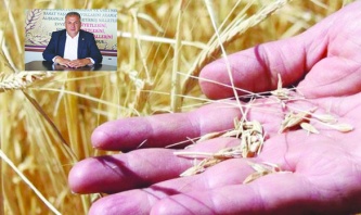 Buğday, arpa ve mercimekte  yüzde 80 verim kaybı yaşandı