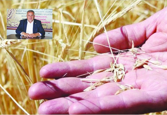 Buğday, arpa ve mercimekte  yüzde 80 verim kaybı yaşandı
