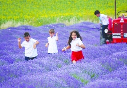 Z kuşağı, müfredatın dayattığı kalıplarla uyuşamıyor