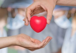 Organ bağışında bağışçı kararı esas alınacak