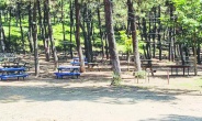 Antep’te 15 Eylül’e kadar ormanlara giriş yasaklandı